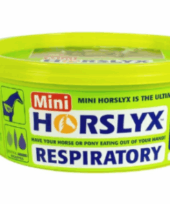 HORSLYX RESPIRATORY