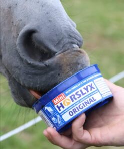 HORSLYX ORIGINAL