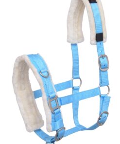 CAVESSON BRIDLE
