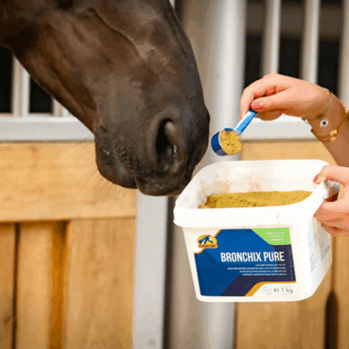 BRONCHIX PURE CAVALOR 1KG - Imagen 2