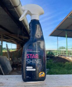 STAR SHINE CAVALOR